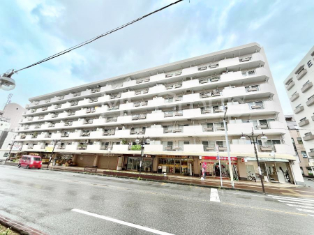 ���n�O�ώʐ^�@����z���ł��Ƒ��̏Ί���P�� 