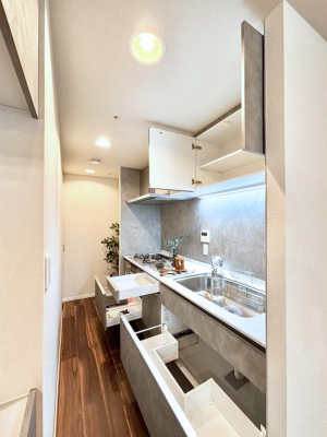 ���̑����ρ@�g���₷����D�悵���X���C�h�����[�^�C�v�I