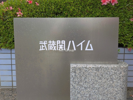 �G���g�����X�@-