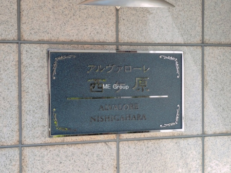 �G���g�����X�@-