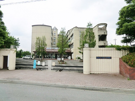 ���ӊ��@���w�Z 2000m �����s�����]���w�Z