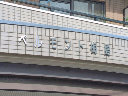 �G���g�����X�@-