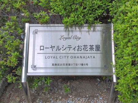 �G���g�����X�@-